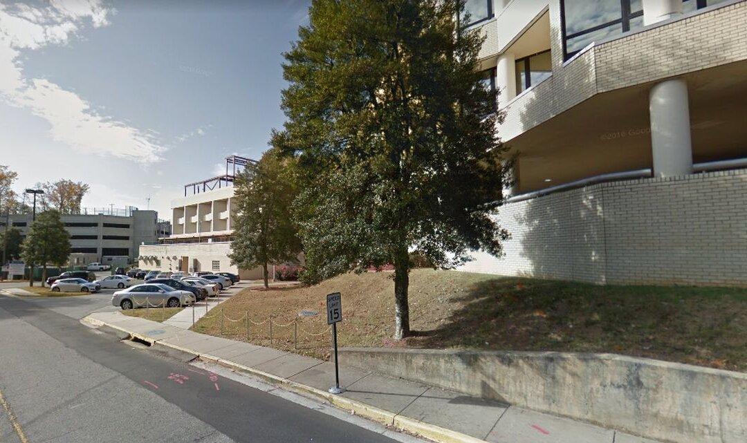 Woman Claims Veteran Dad Was Bitten 100 Times by Ants Before Death at VA Medical Center