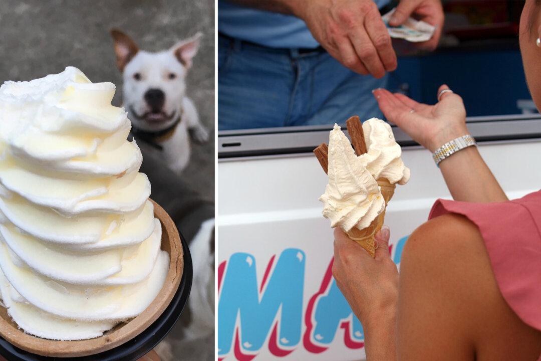 Pit Bull Runs Over to Ice Cream Truck and Patiently Waits in Line for Vanilla Cone