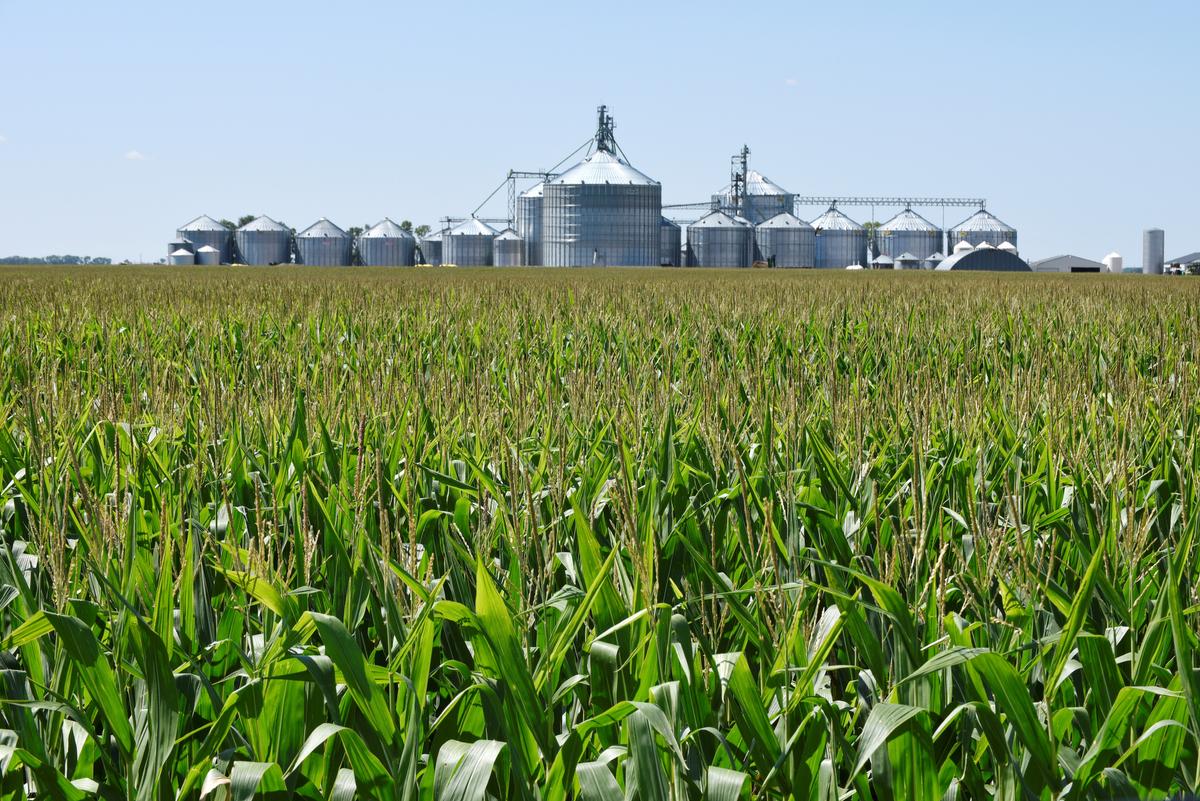 Congressional Hearing Highlights Economic Danger From Mexico’s Exclusion of US Corn