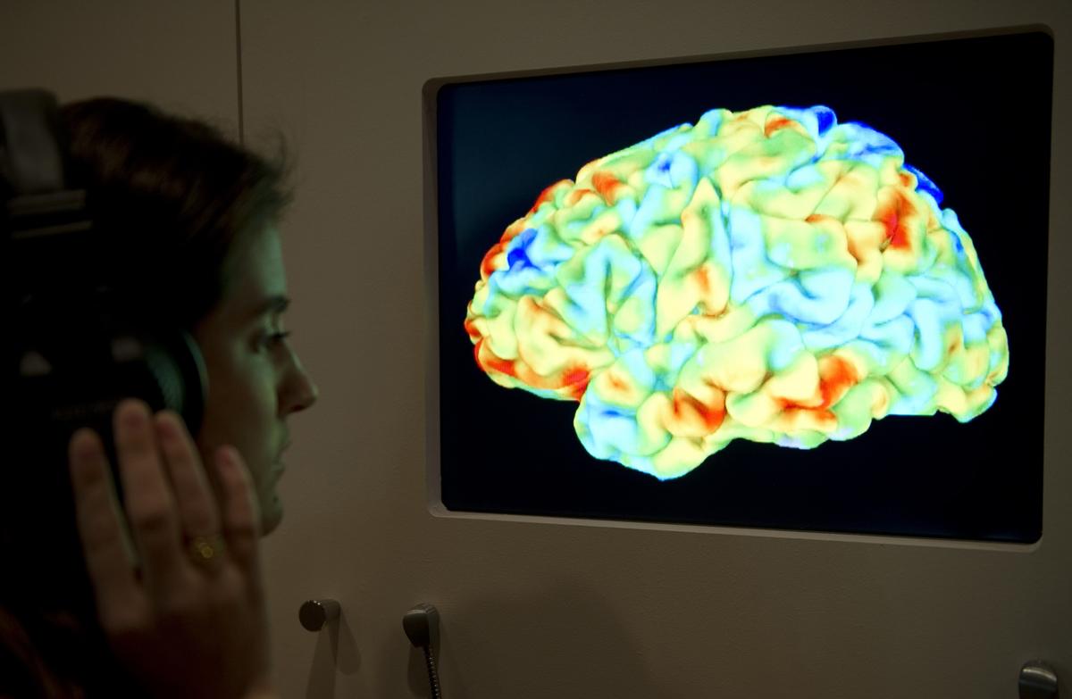 Intelligent Brains Are Slower in Processing Complex Information: Study