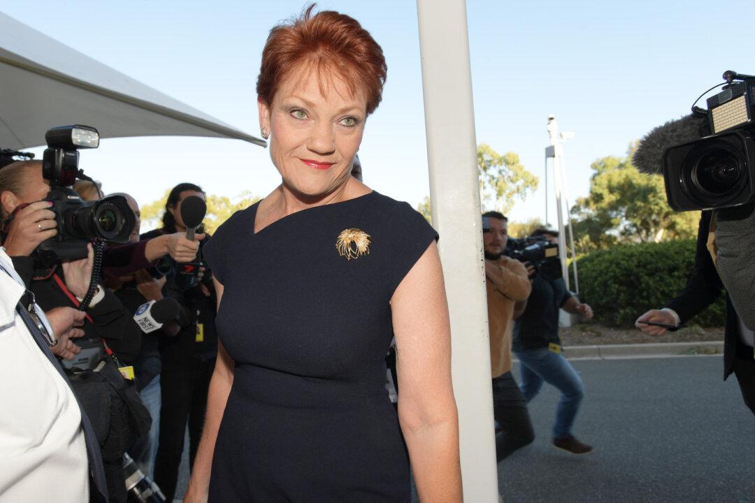Pauline Hanson Says Some Parents Falsely Claim Domestic Violence To Sway Family Court
