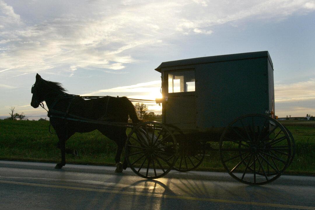Amish, Mennonite Communities in Pennsylvania May Have Reached Herd Immunity: Medical Center