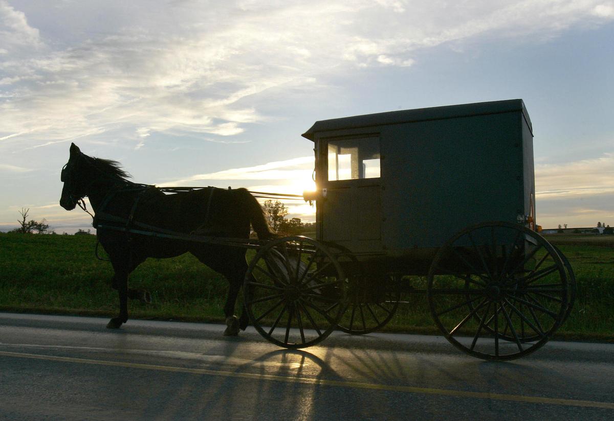 Amish, Mennonite Communities in Pennsylvania May Have Reached Herd Immunity: Medical Center