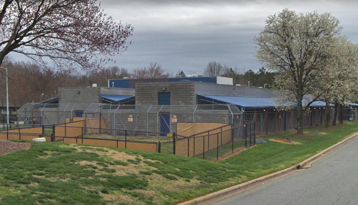 Shelter Pup Filmed ‘Crying’ After Being Used As Breeding Machine Then Dumped Like Trash