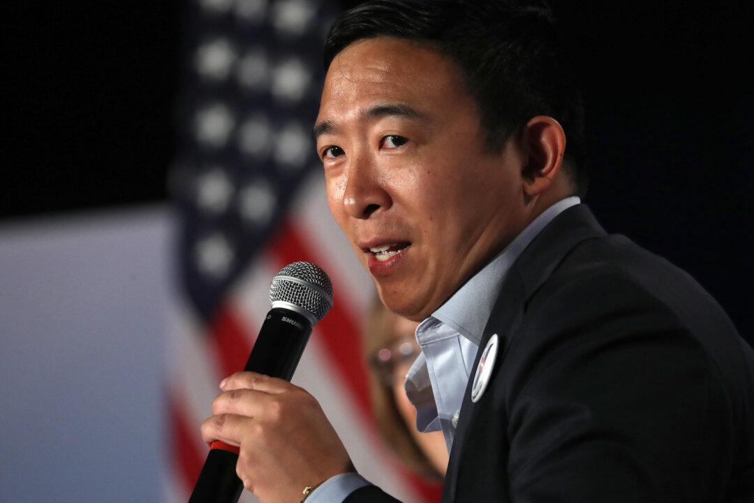 Andrew Yang Considers Taxing Cow ‘Emissions’ to Deal With Climate Change