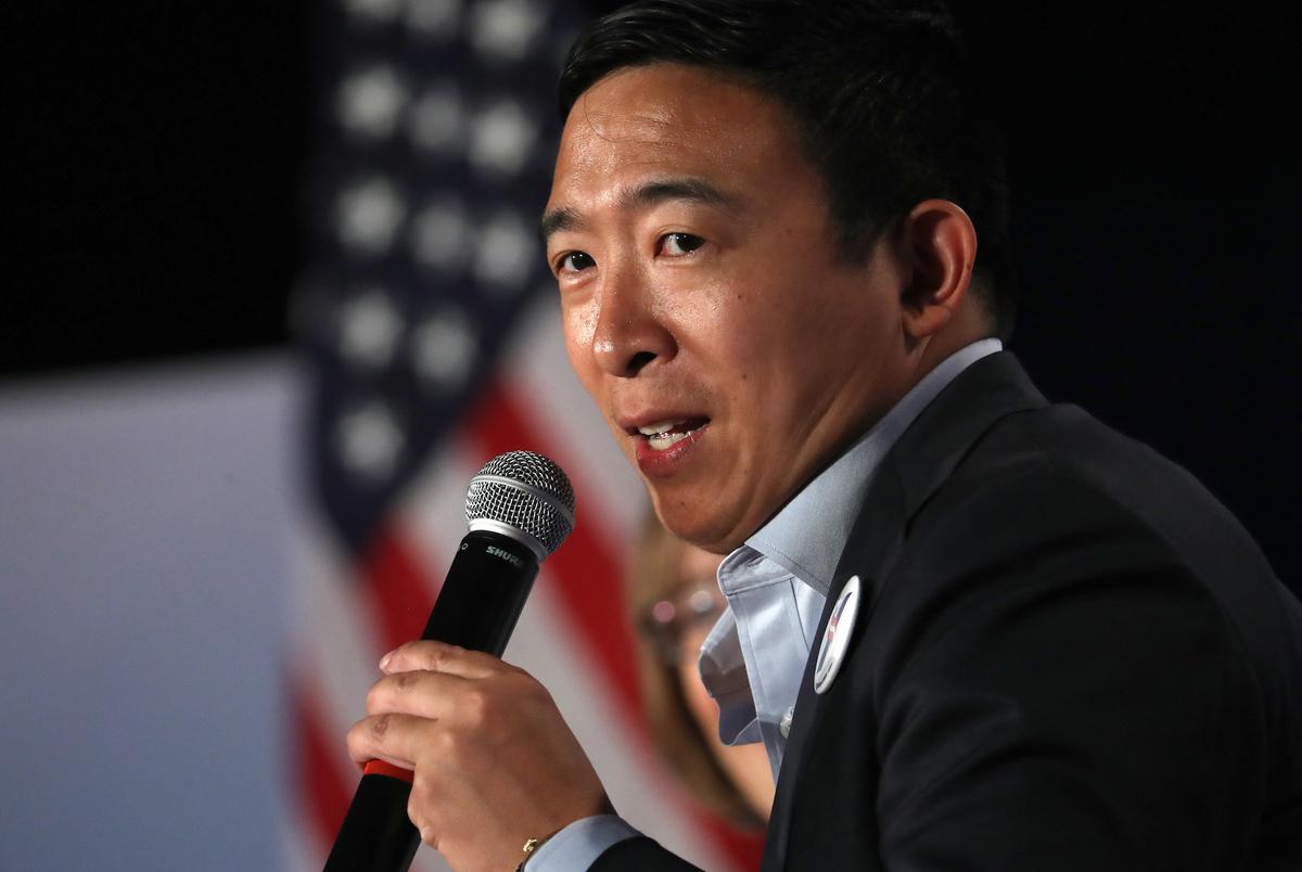 Andrew Yang Considers Taxing Cow ‘Emissions’ to Deal With Climate Change
