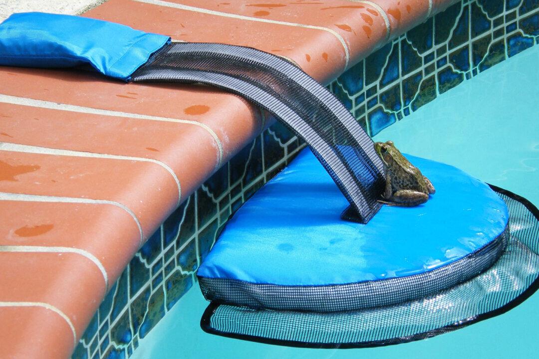 Inventor Creates Ingenious Pool Flotation Device That Saves Frogs and Small Animals From Drowning