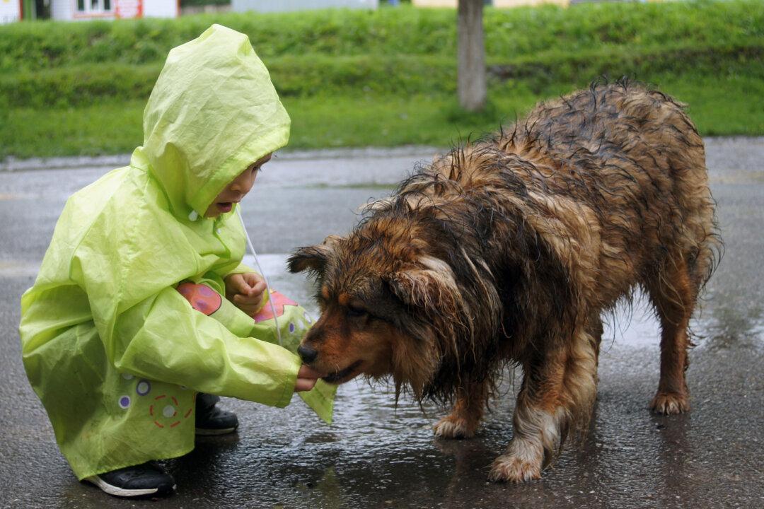Boy Used Pocket Money to Feed Stray Dogs, Opened a No-kill Animal Shelter at Age 9