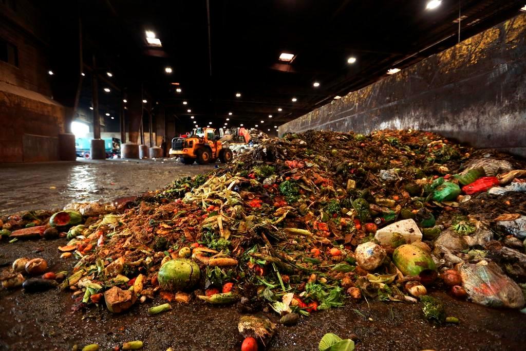 Scientists Audit Garbage to Assess Household Food Waste