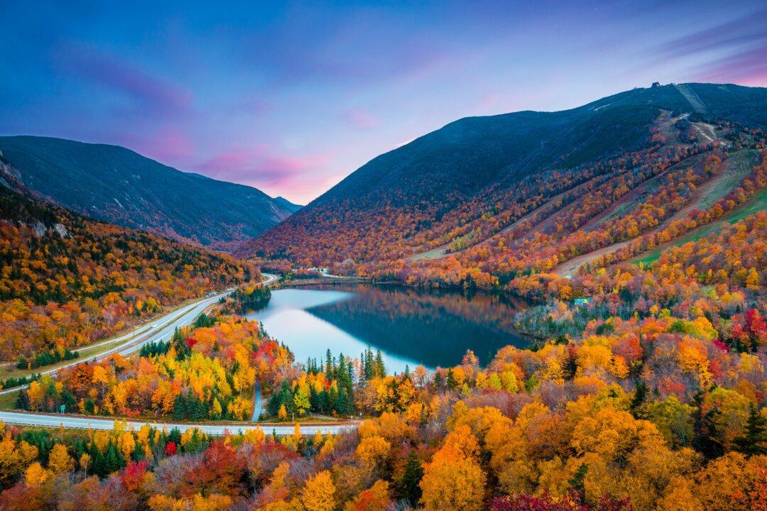A Beginner’s Guide to Leaf-Peeping