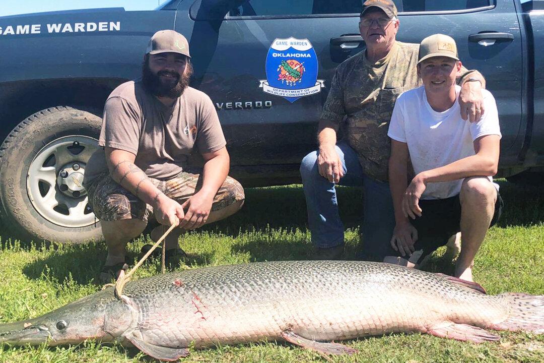 Angler Catches 170-pound Prehistoric Fish With Alligator-looking Snout From Oklahoma Lake