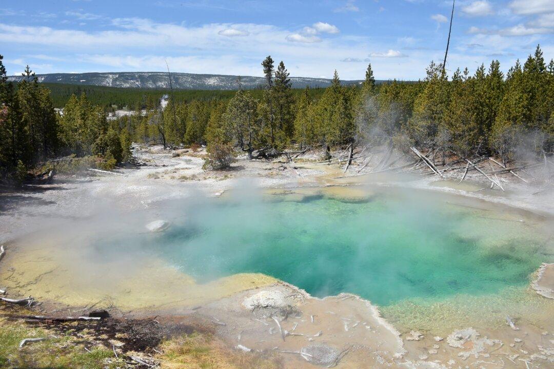 Yellowstone Area Experiences 193 Earthquakes in a Month: Report