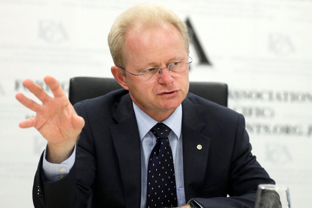 Scientists Say Quarter of All Pigs Could Die of Swine Fever