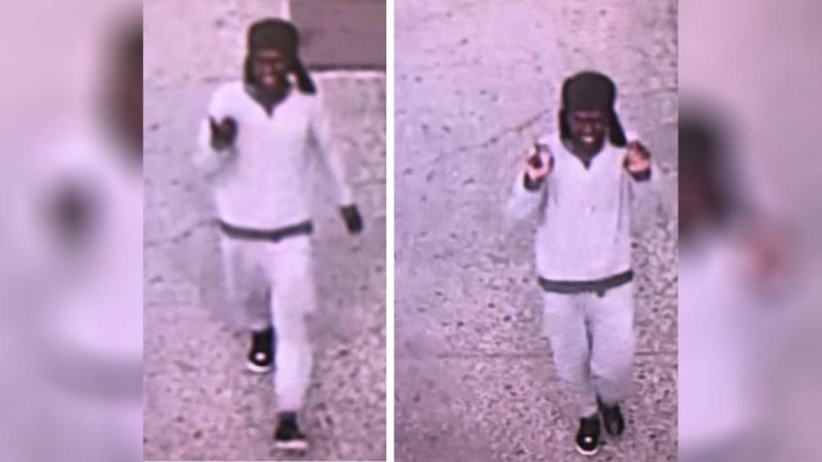 New York Man Charged Over Sucker Punch That Broke 71-Year-Old Woman’s Jaw