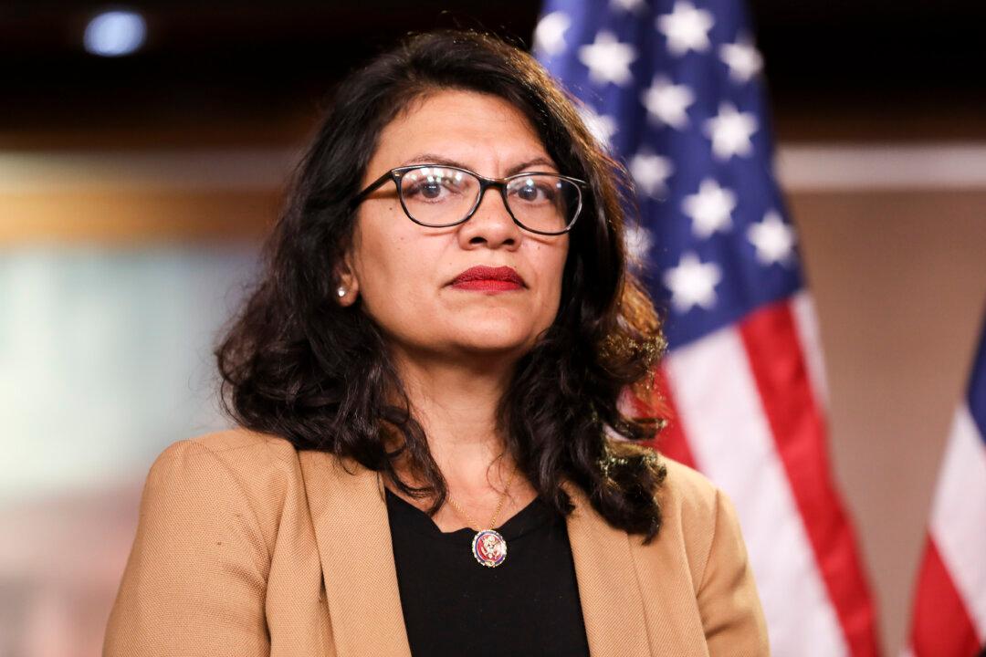 Rep. Rashida Tlaib Asked Campaign for Money for Personal Use, Messages Show