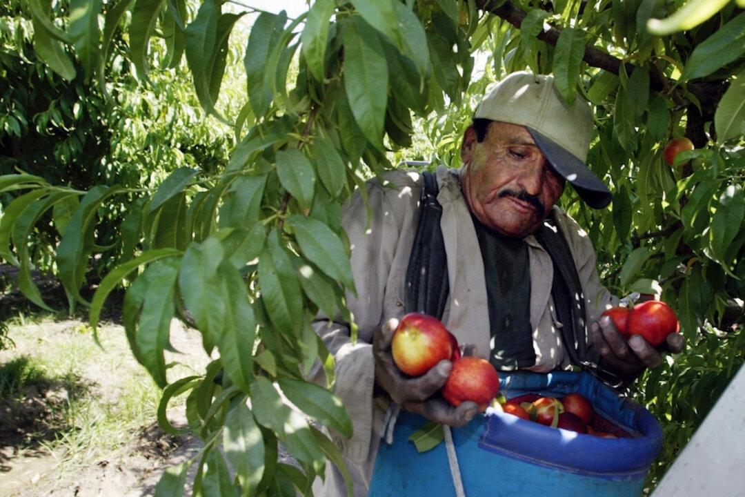 California Bans Pesticide Linked to Brain Damage in Children