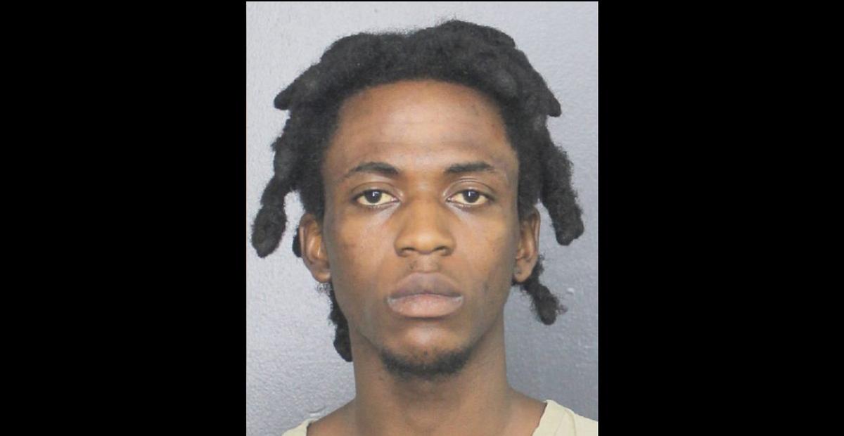 Illegal Alien Allegedly Stole Car, Left Disabled Dog to Die: Florida Police