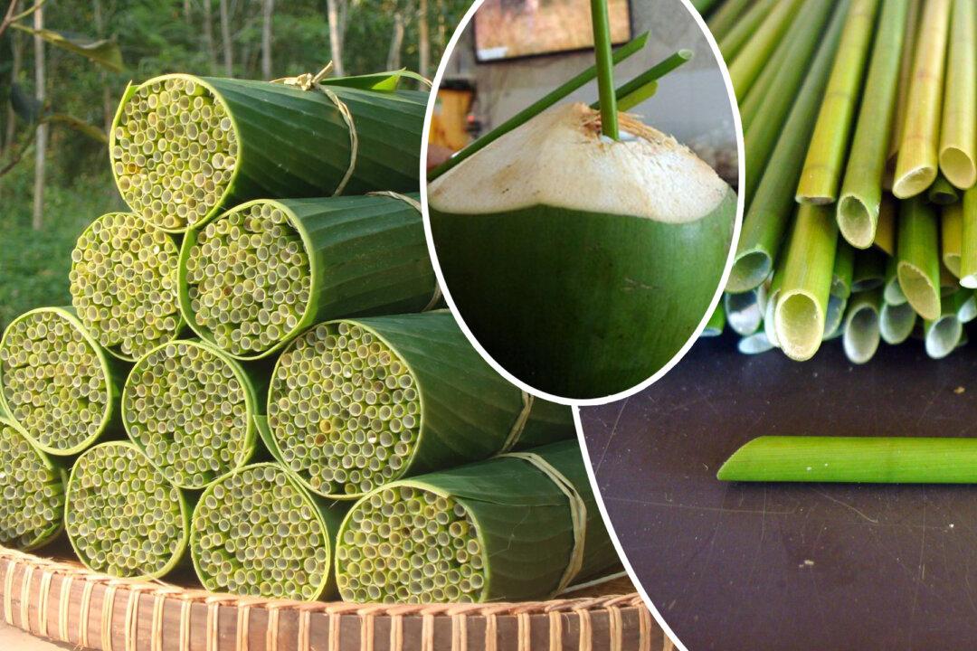 Vietnamese Man Makes Biodegradable Straws From Wild Grass to Solve World’s Plastic Problem