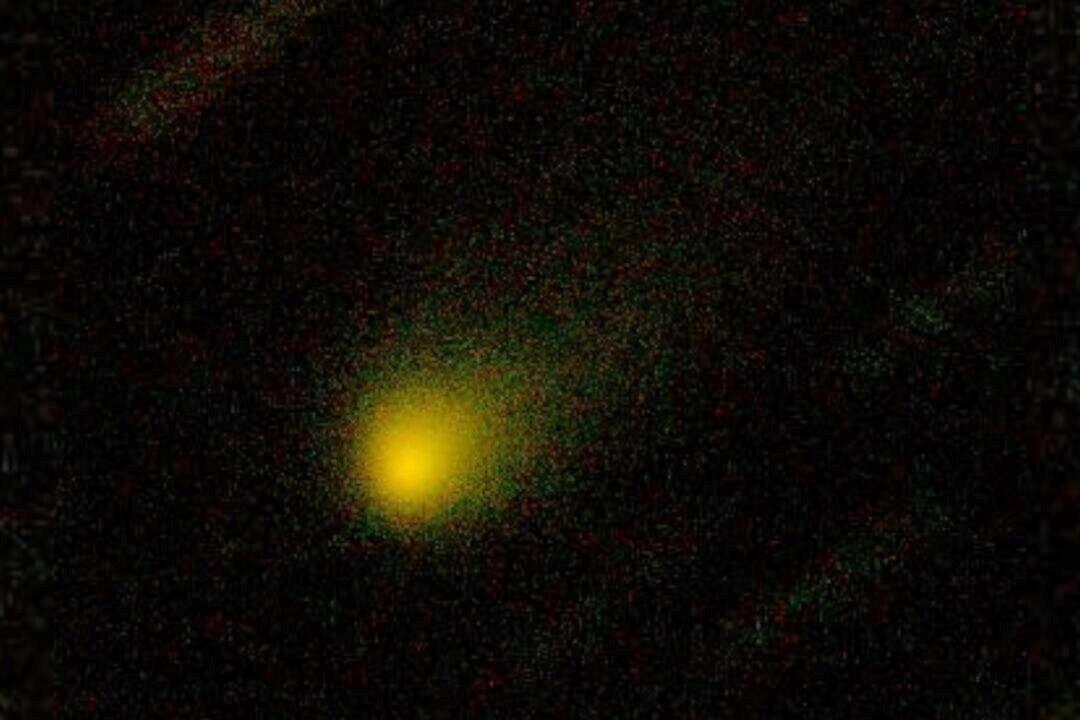 Interstellar Interloper Is a Comet Resembling Those in Our Solar System