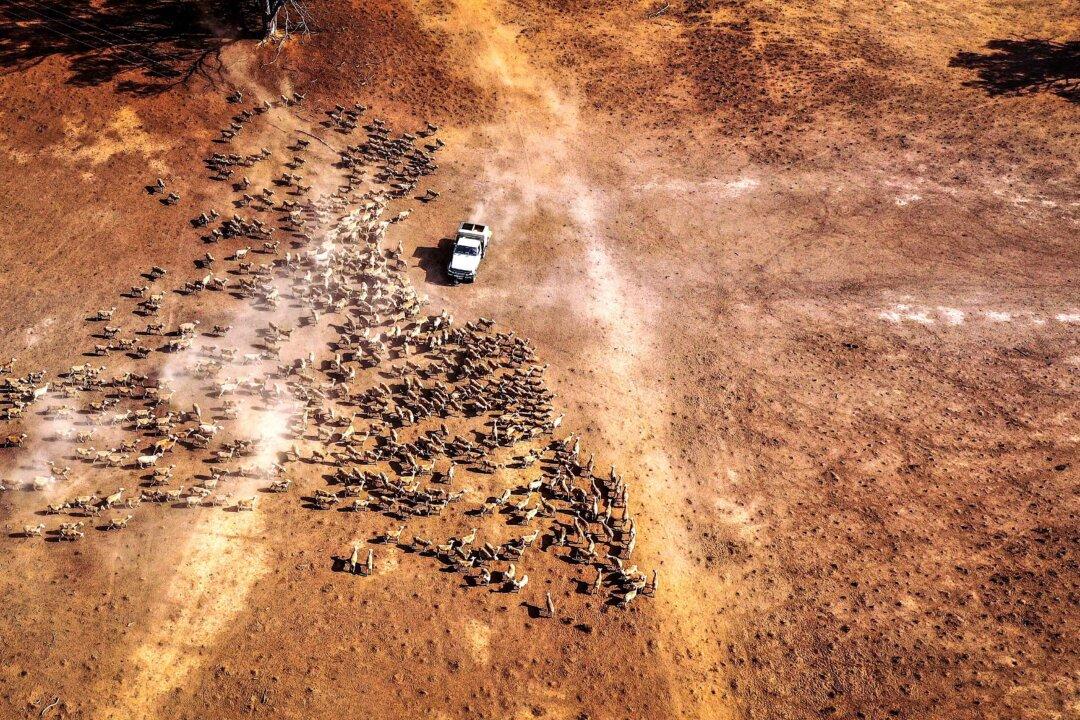 Regional Australia to Benefit From Future Drought Fund