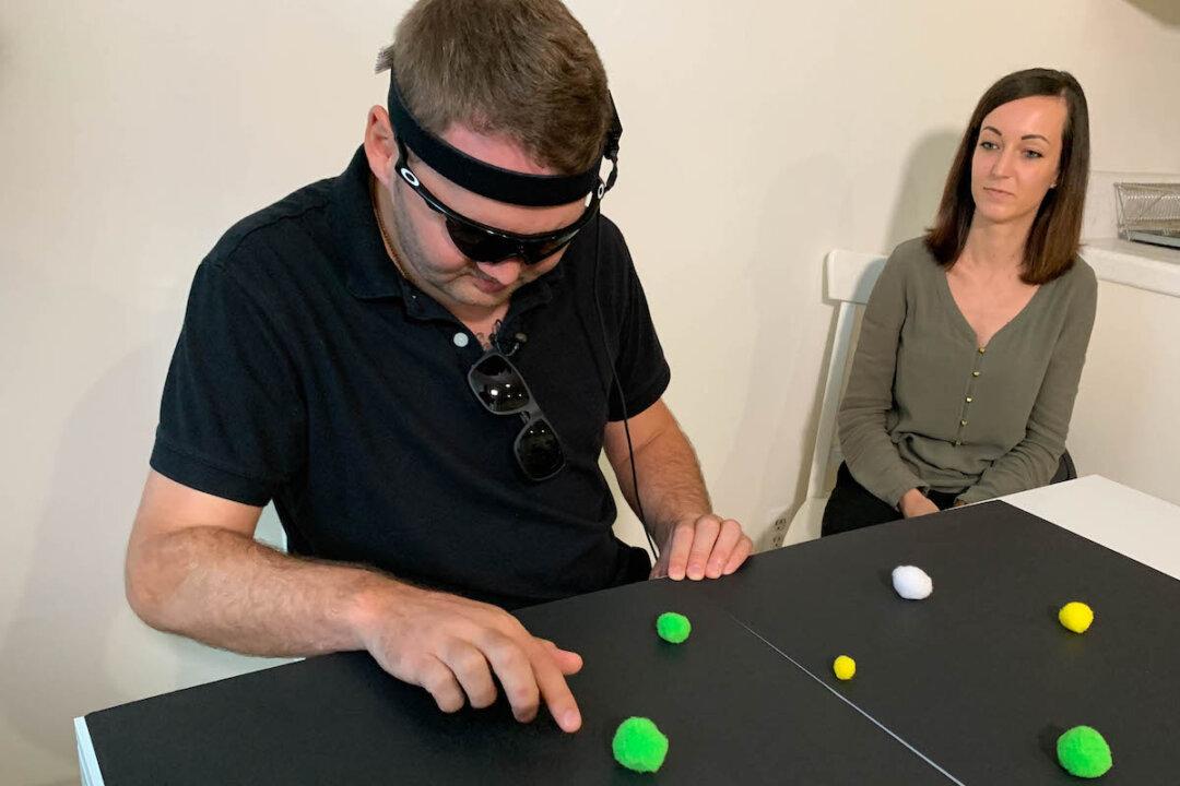 A New Device Allows the Blind to See Again