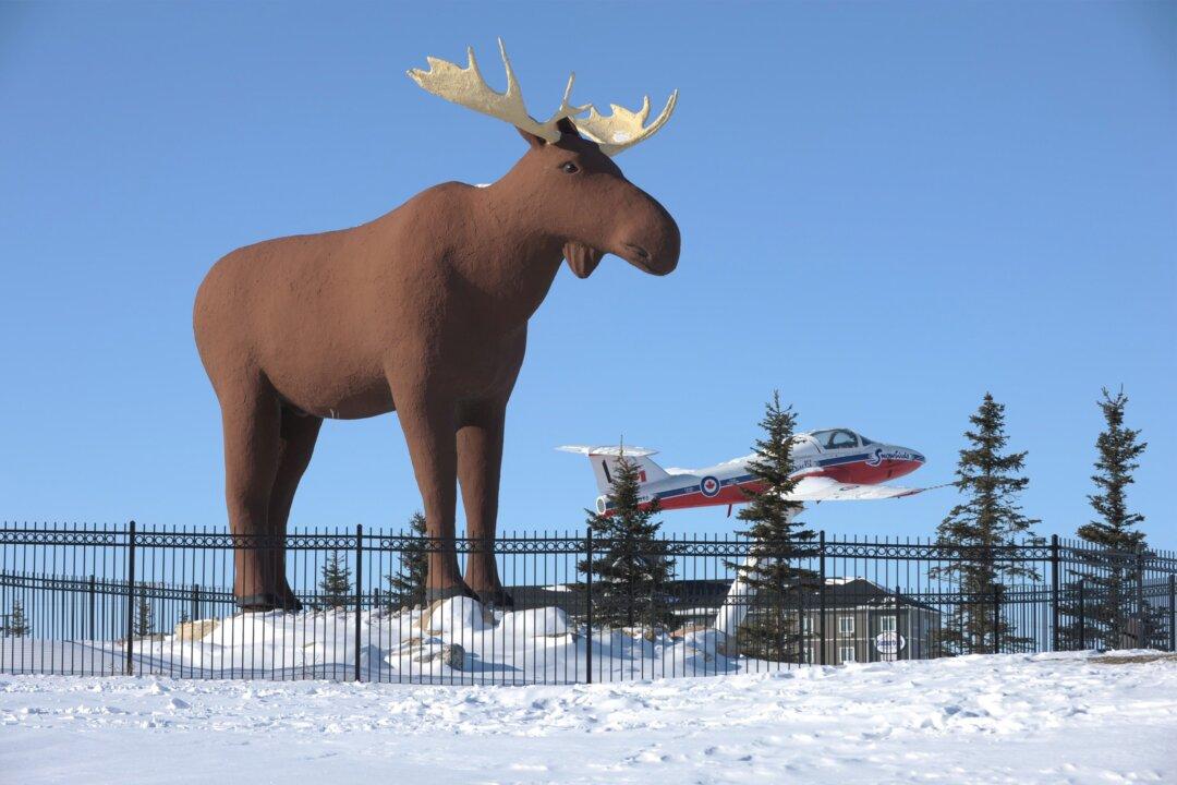 Quebec Town’s Moose Statue Won’t Seek to Supplant Moose Jaw’s Famous Mac