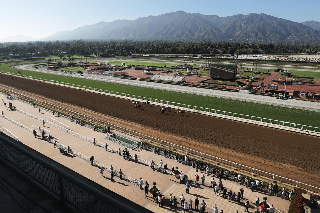 34th Horse Dies at Santa Anita Racetrack Since December