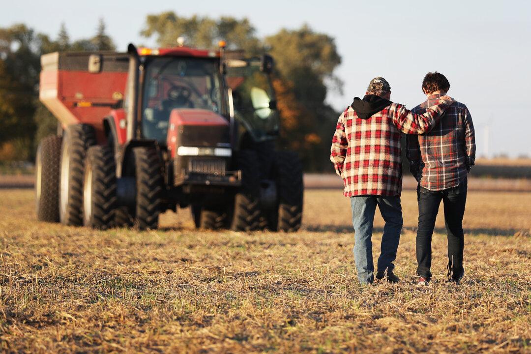 Crushed by Trade War, Farmers See Silver Lining With New China Truce