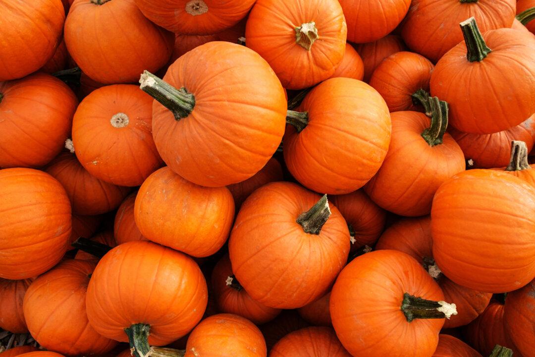 Bed Bath & Beyond Pull Black Jack-O-Lanterns Off Shelves Over ‘Blackface’ Complaints: Report