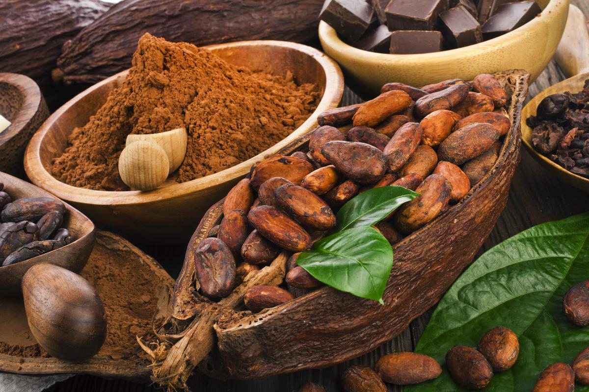 6 Powerful Health Benefits of Cacao
