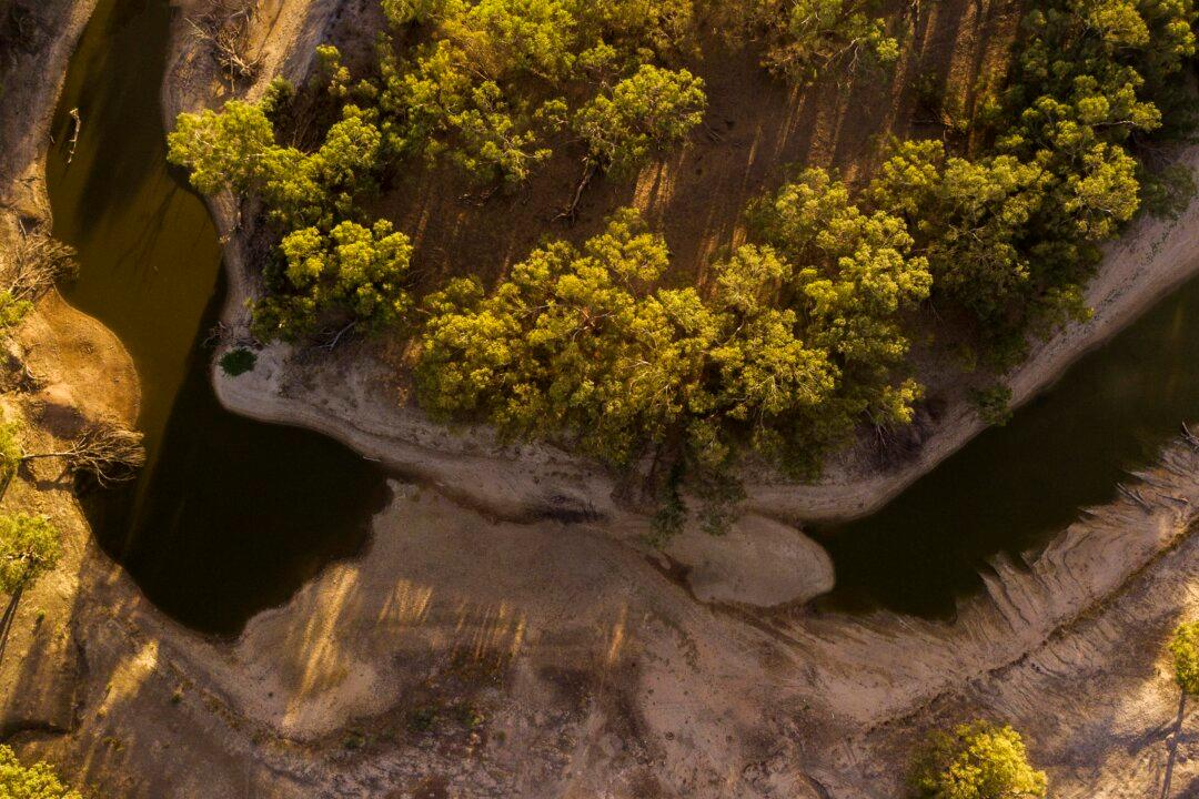 Murray and Darling Rivers Link for the First Time in 2 Years This Easter