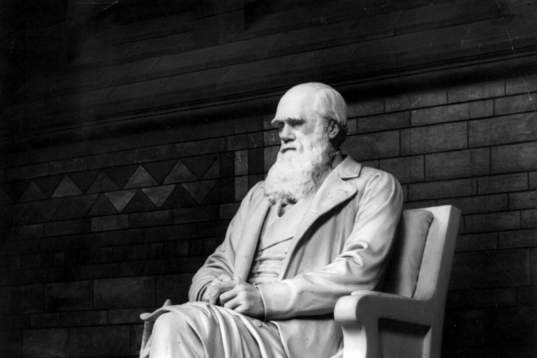 250,000 Year Old Insect Challenges Evolutionary Theory