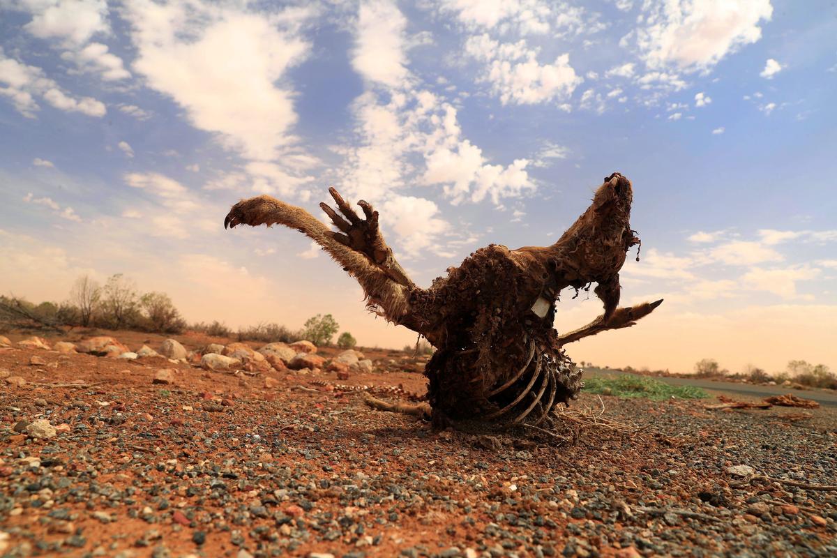 Climate Change Could Cost Australia $1.8 Billion in Crop Losses: Treasurer