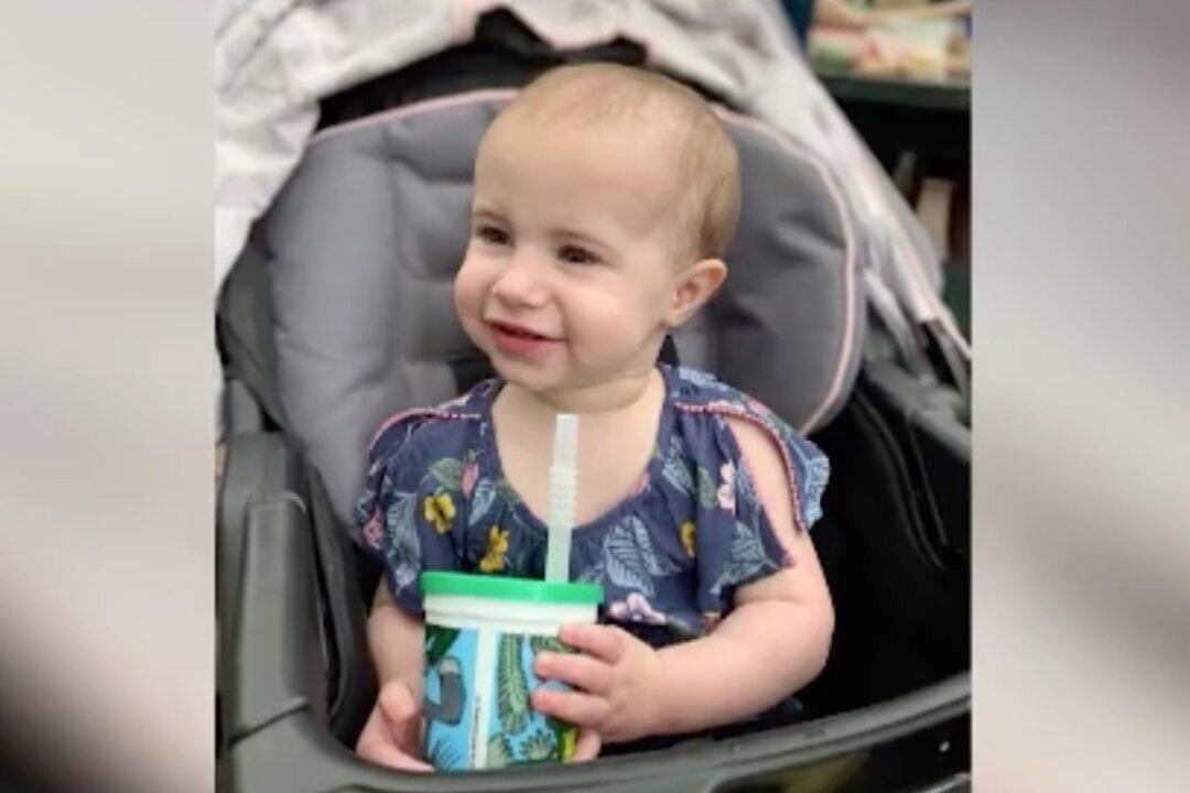 Granddad of Girl Who Died in Cruise Ship Fall Knew Window Was Open: Royal Caribbean