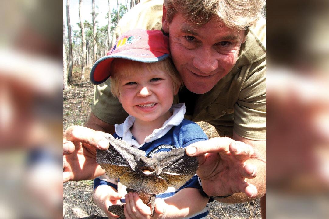 Steve Irwin’s Lookalike Teen Son Re-creates Iconic Crocodile Feeding Shot 15 Years On