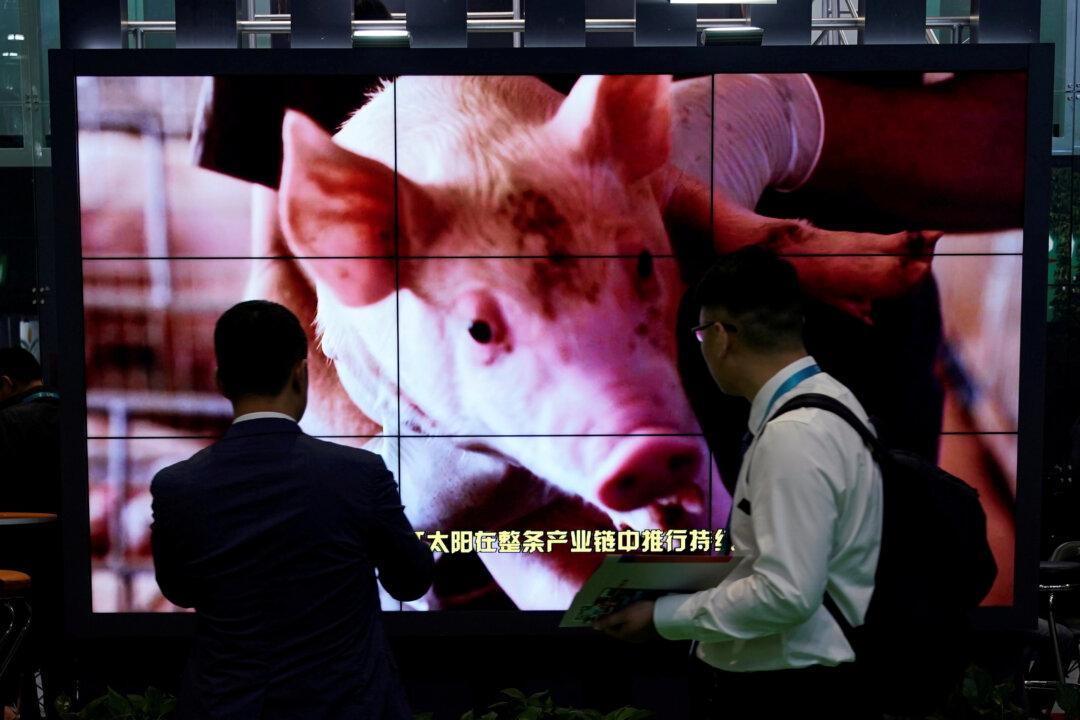 China’s Pork Imports to Peak in 2022, Driven by Fatal African Swine Fever: Report