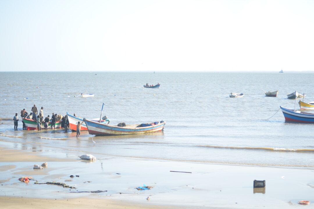 Mozambique’s Fishermen Point to China as Fish Stocks Dwindle