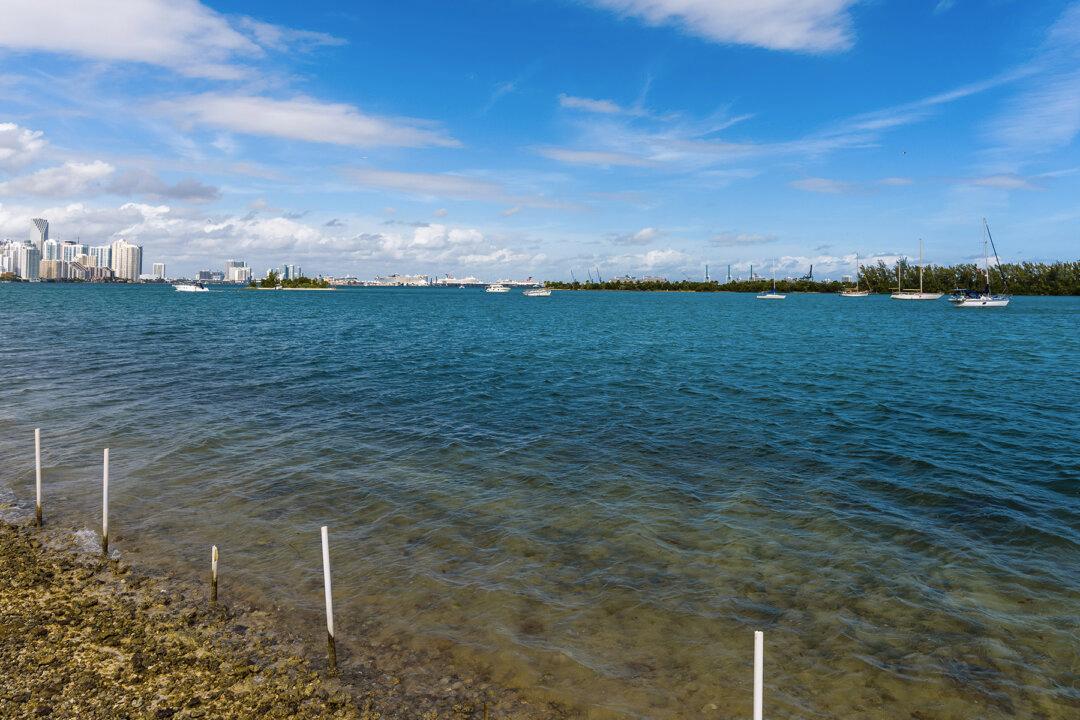 17-Year-Old Dies Saving a Mother and Son From Drowning in Florida Keys, Hailed a ‘Hero’ by Classmates