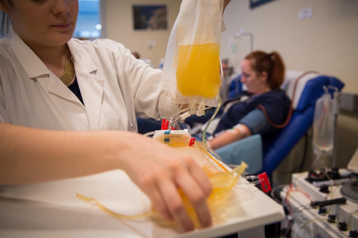 A Young Blood Transfusion Company Resumes Services Despite FDA Warning