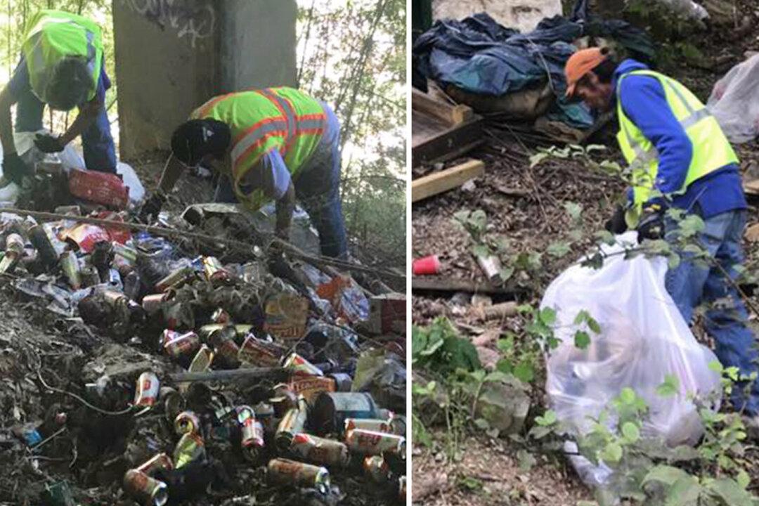 Austin Homeless Paid $15 per Hour to Clean Public Spaces Thanks to Outstanding City Program