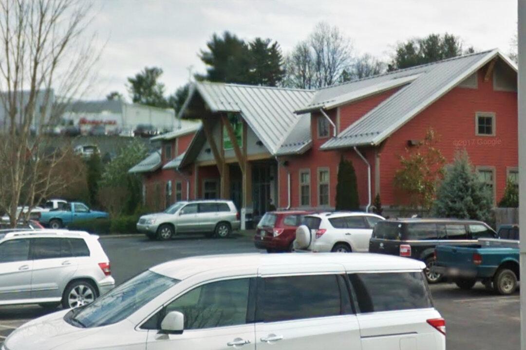 Dog Lover Goes Into Shelter and Asks to Adopt the Oldest Dogs to Give Them the ‘Best Years of Their Life’