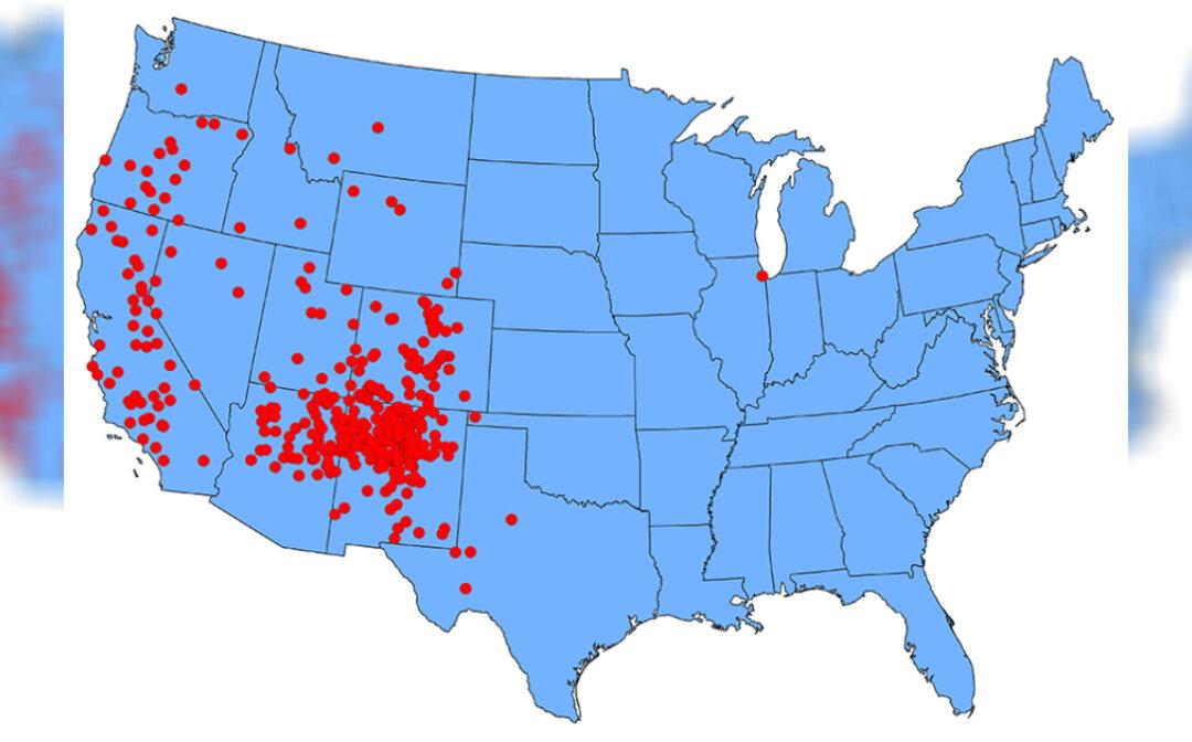 Colorado Sees First Human Plague Case Since 2015: Health Officials