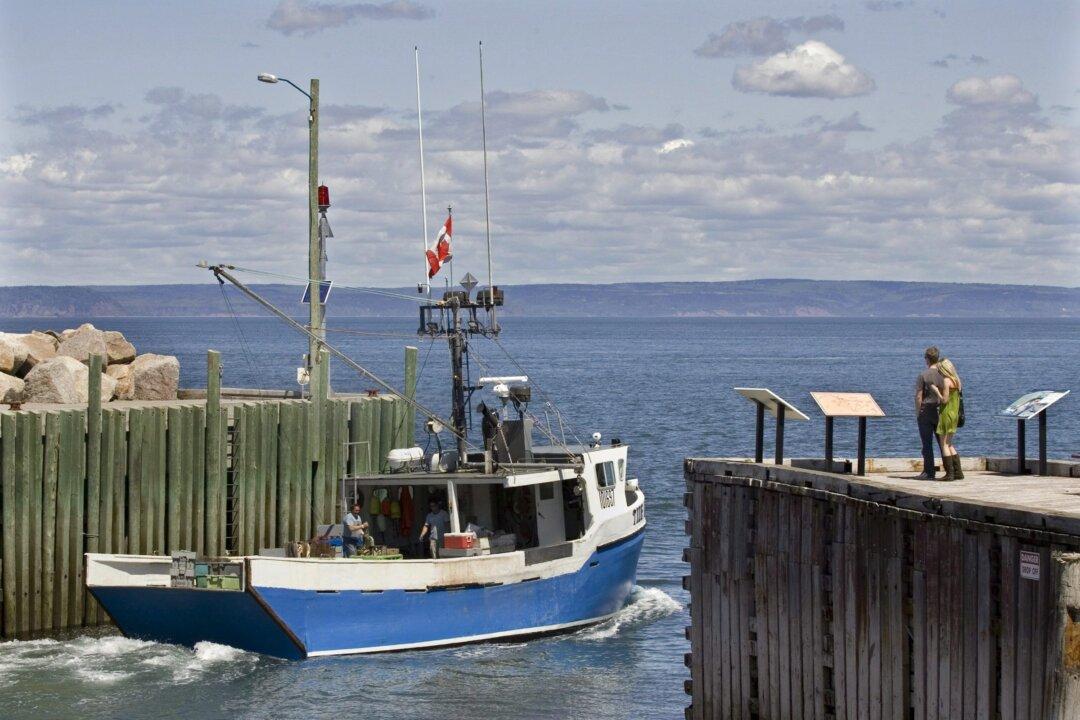 1.8 Million Items of Garbage Strewn Over Bay of Fundy Bottom, Study Estimates