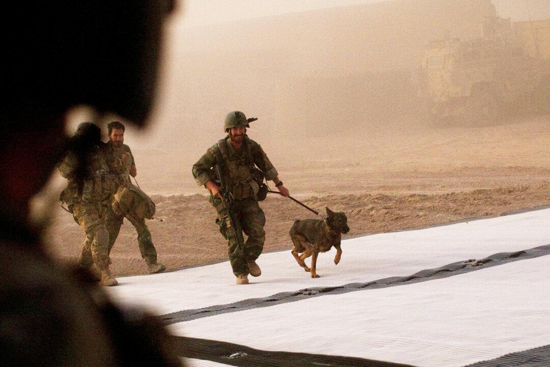 Gary Sinise Raises Funds for Brave Dogs Fighting Alongside Human Heroes on Veterans Day