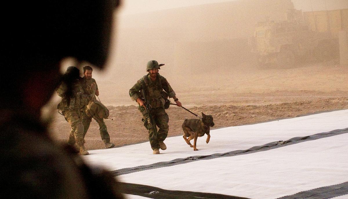 Gary Sinise Raises Funds for Brave Dogs Fighting Alongside Human Heroes on Veterans Day