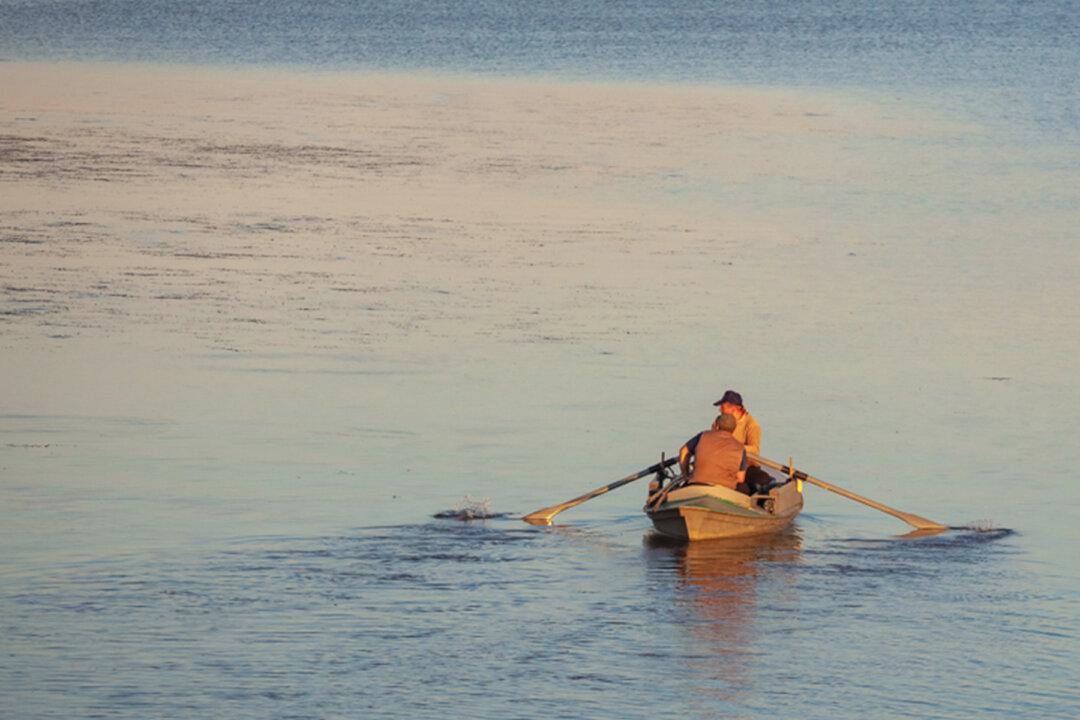 Fisherman Finds Minivan With Missing Person Trapped Under Lake in Georgia, Calls Authorities