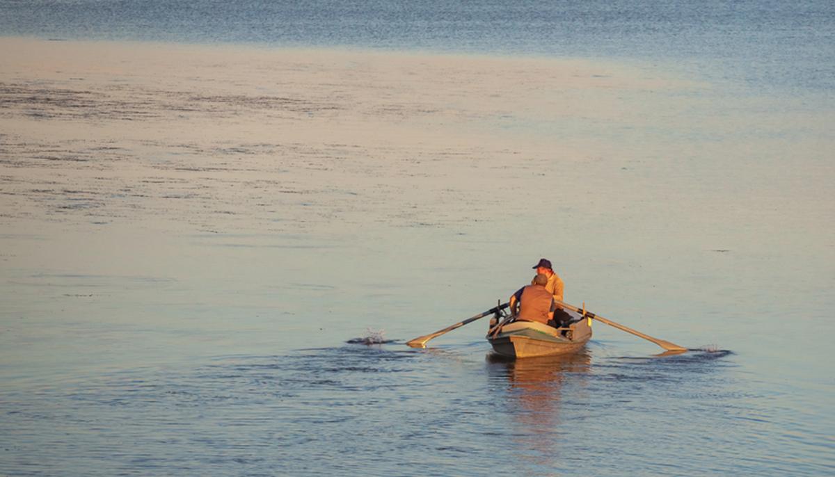 Fisherman Finds Minivan With Missing Person Trapped Under Lake in Georgia, Calls Authorities