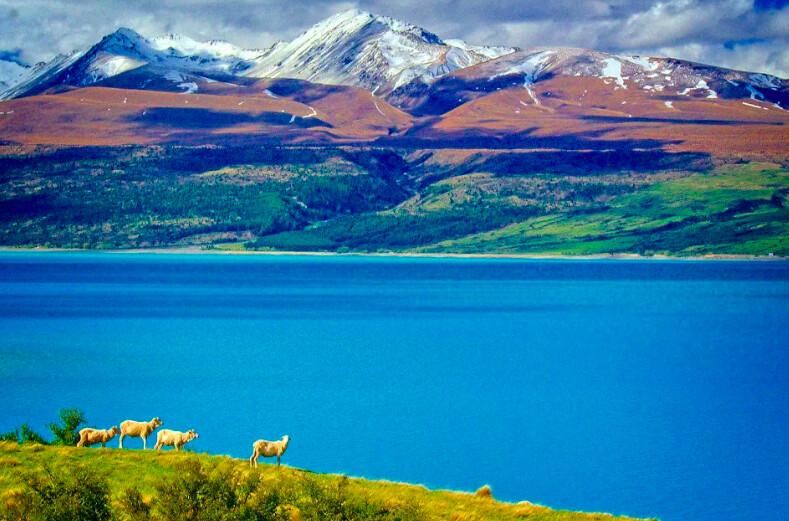 New Zealand: A Surfeit of Beauty