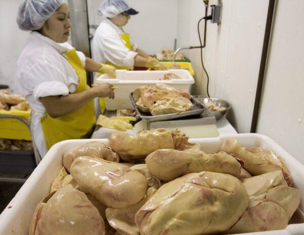 A tub of foie gras being graded and cleaned rests on a preparation table at Hudson Valley Foie Gras in Ferndale, N.Y., on Aug. 17, 2006. (Stephen Chernin/Getty Images)