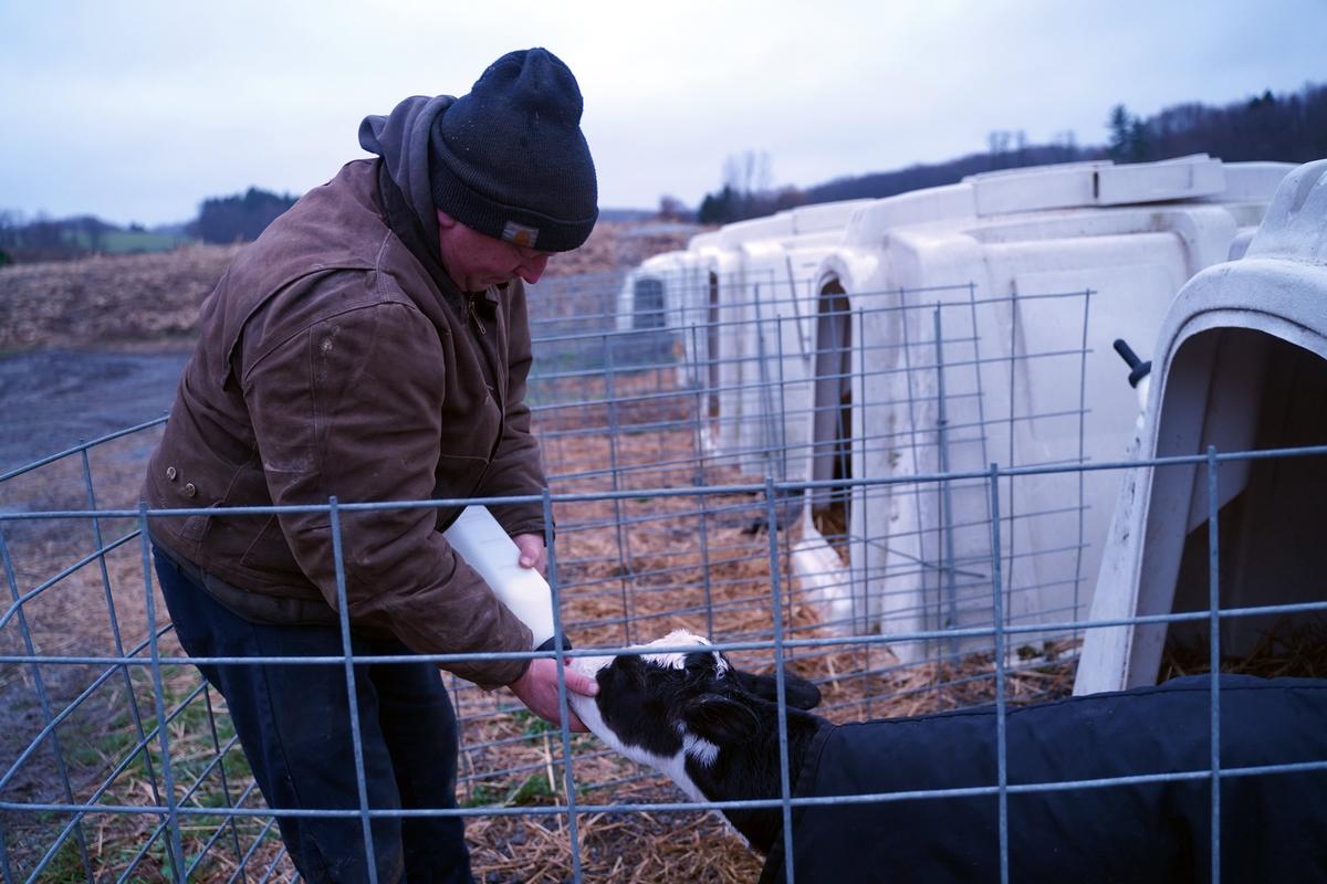 How 3 Dairy Farmers Have Pulled Through Desperate Times